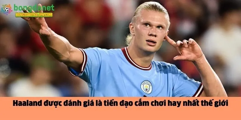 Haaland 